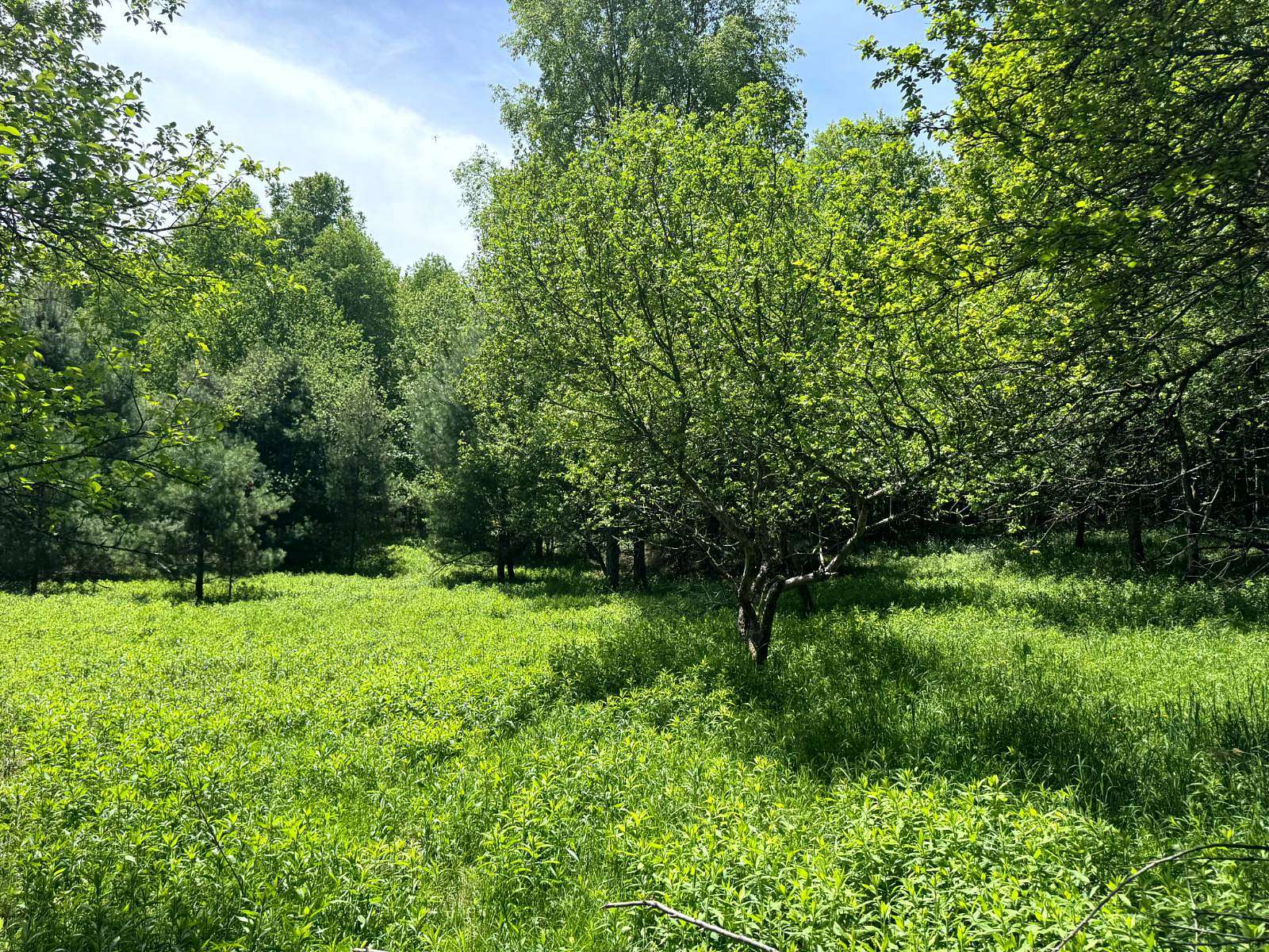 6 Acres of Residential Land for Sale in Vienna, New York
