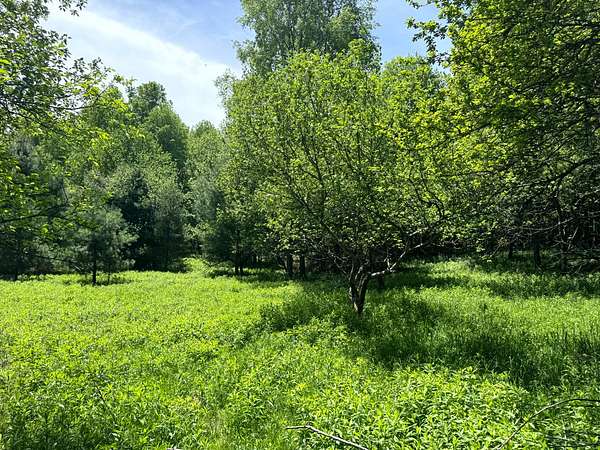 6 Acres of Residential Land for Sale in Vienna, New York