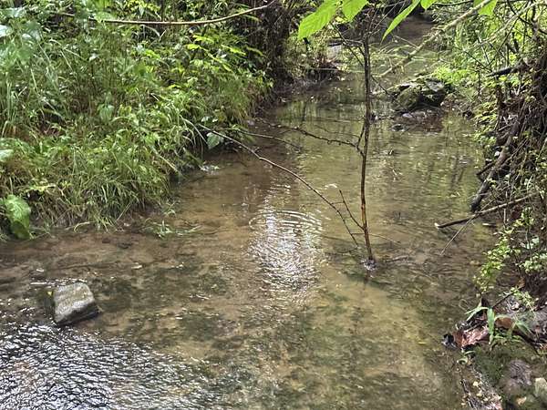 430 Acres of Recreational Land for Sale in Cornersville, Tennessee