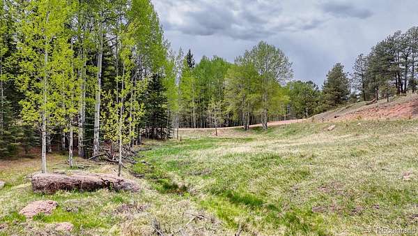 2.33 Acres of Residential Land for Sale in Florissant, Colorado