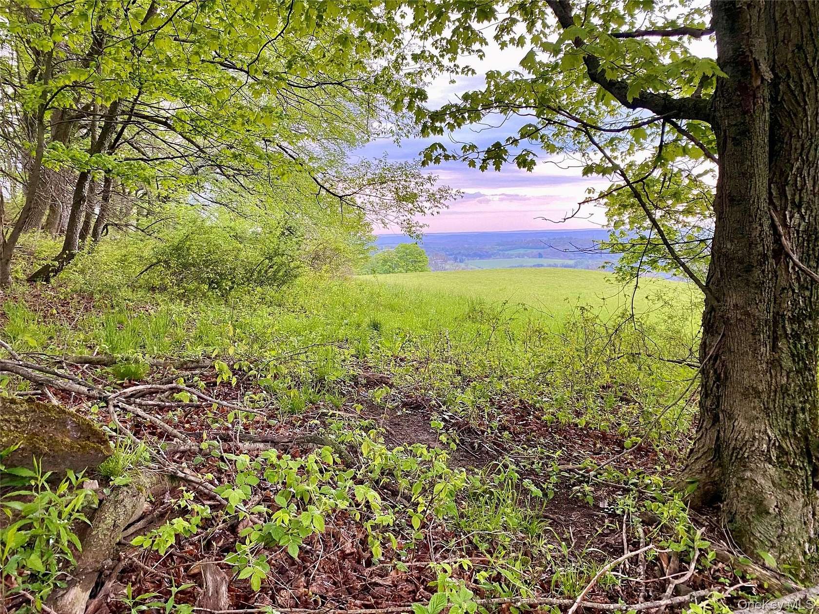 70 Acres of Land for Sale in Callicoon, New York