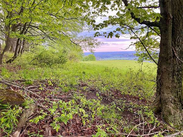 70 Acres of Land for Sale in Callicoon, New York
