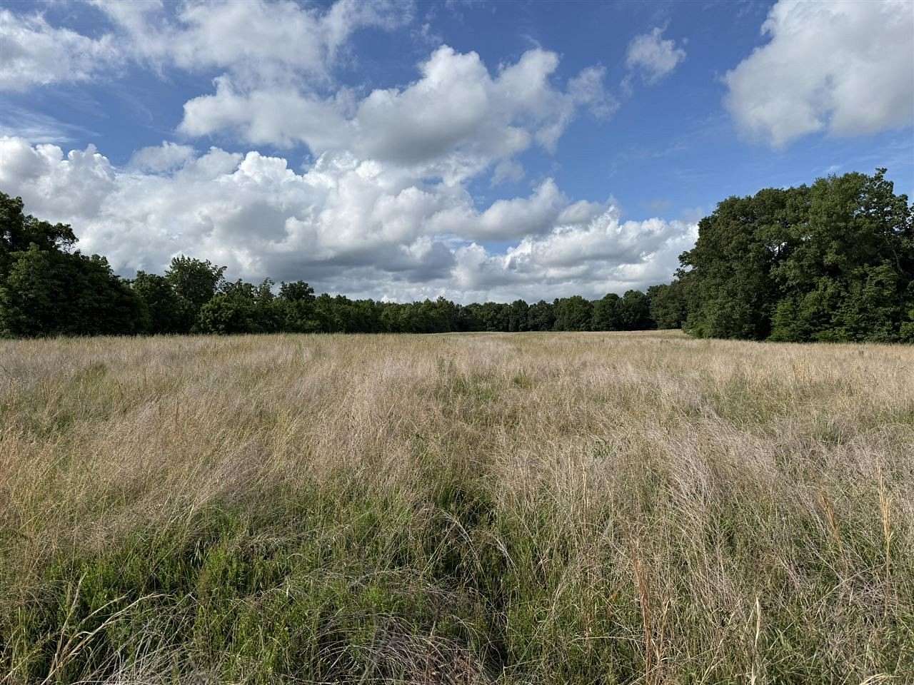20 Acres of Recreational Land for Sale in Cub Run, Kentucky