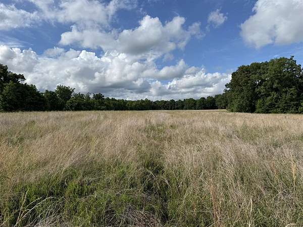 20 Acres of Recreational Land for Sale in Cub Run, Kentucky