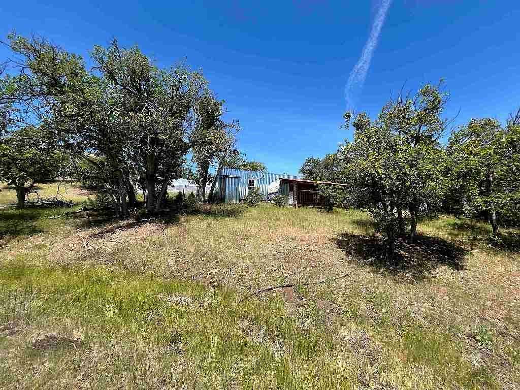 2.5 Acres of Land for Sale in Hornbrook, California