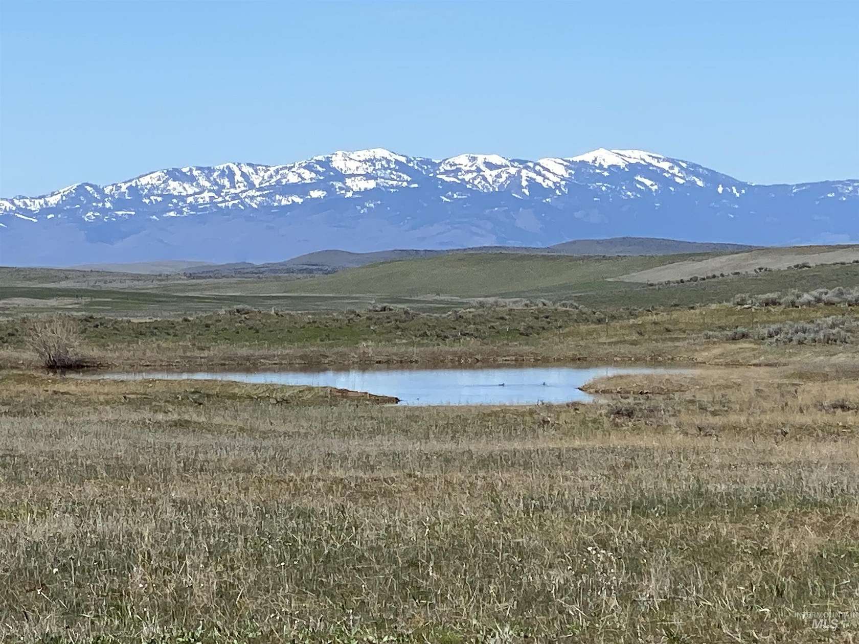 41.2 Acres of Land for Sale in Indian Valley, Idaho