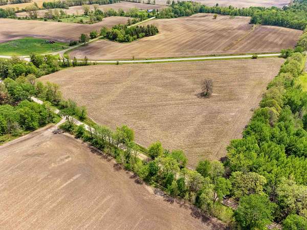 40 Acres of Agricultural Land for Sale in Lynn Township, Michigan