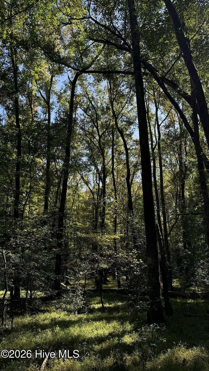 4.23 Acres of Residential Land for Sale in Cameron, North Carolina