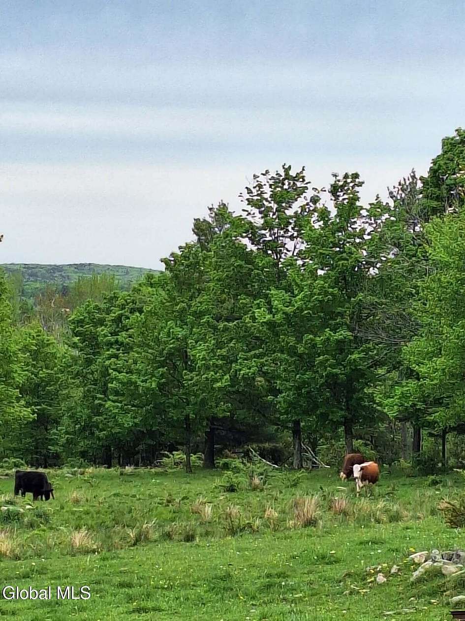 96.3 Acres of Land with Home for Sale in Cropseyville, New York