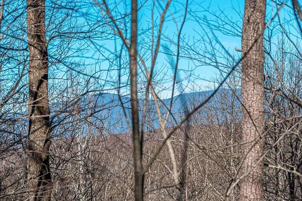 4 Acres of Residential Land for Sale in Ellijay, Georgia