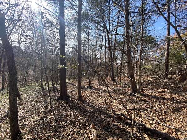 1.6 Acres of Land for Sale in Cape Fair, Missouri