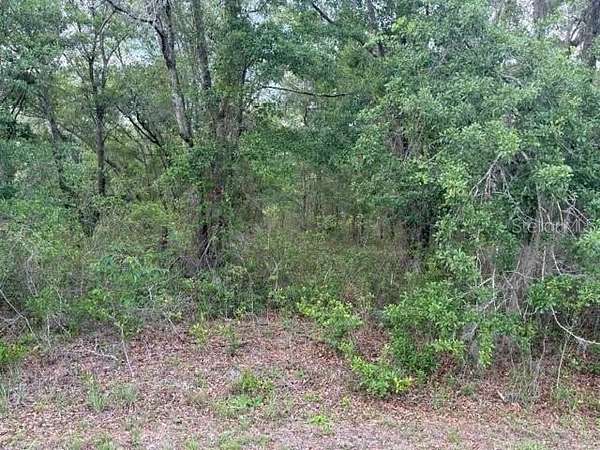 1 Acre of Residential Land for Sale in Melrose, Florida