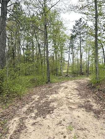 5 Acres of Residential Land for Sale in Center Township, Minnesota