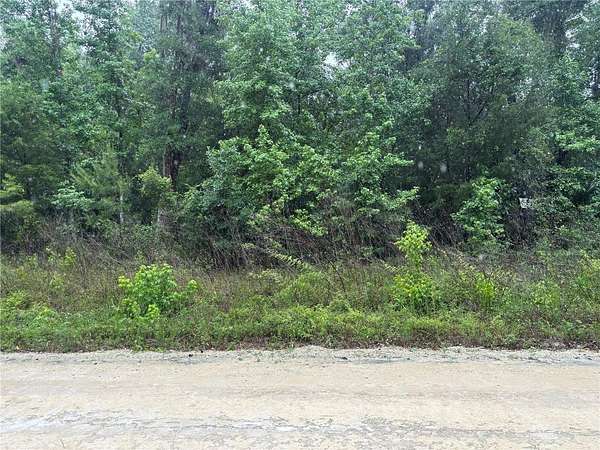 0.46 Acres of Residential Land for Sale in Ocala, Florida