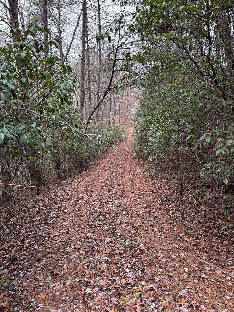 2 Acres of Residential Land for Sale in Murphy, North Carolina