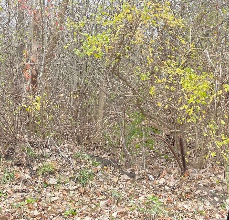 Land for Sale in Beach Park, Illinois