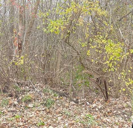 Land for Sale in Beach Park, Illinois