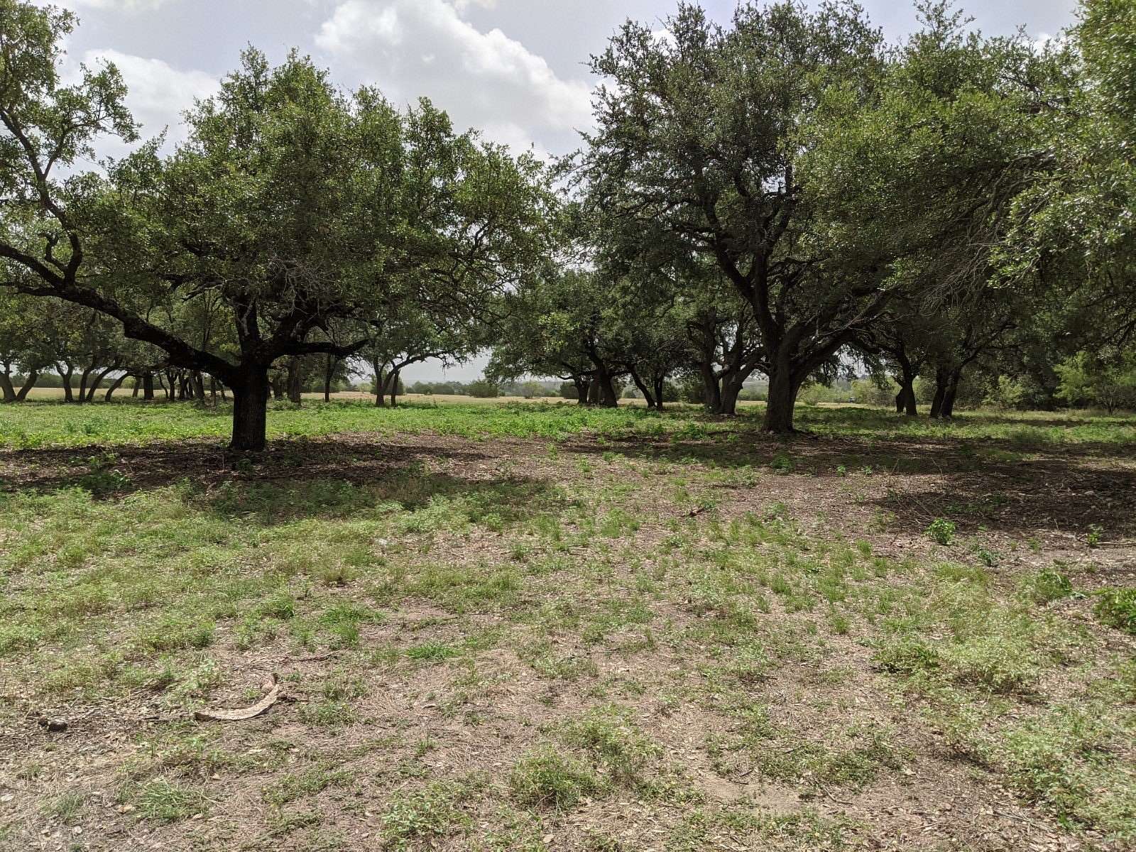 20 Acres of Land for Sale in Hamilton, Texas