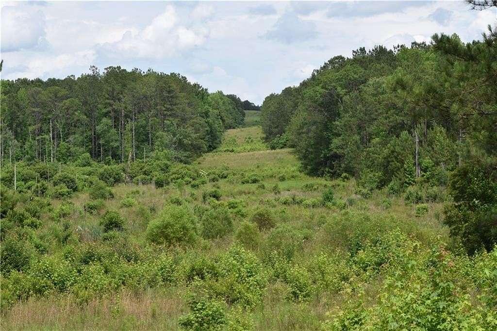 58.8 Acres of Recreational & Residential Land for Sale in Opelika, Alabama