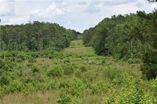 58.8 Acres of Recreational & Residential Land for Sale in Opelika, Alabama