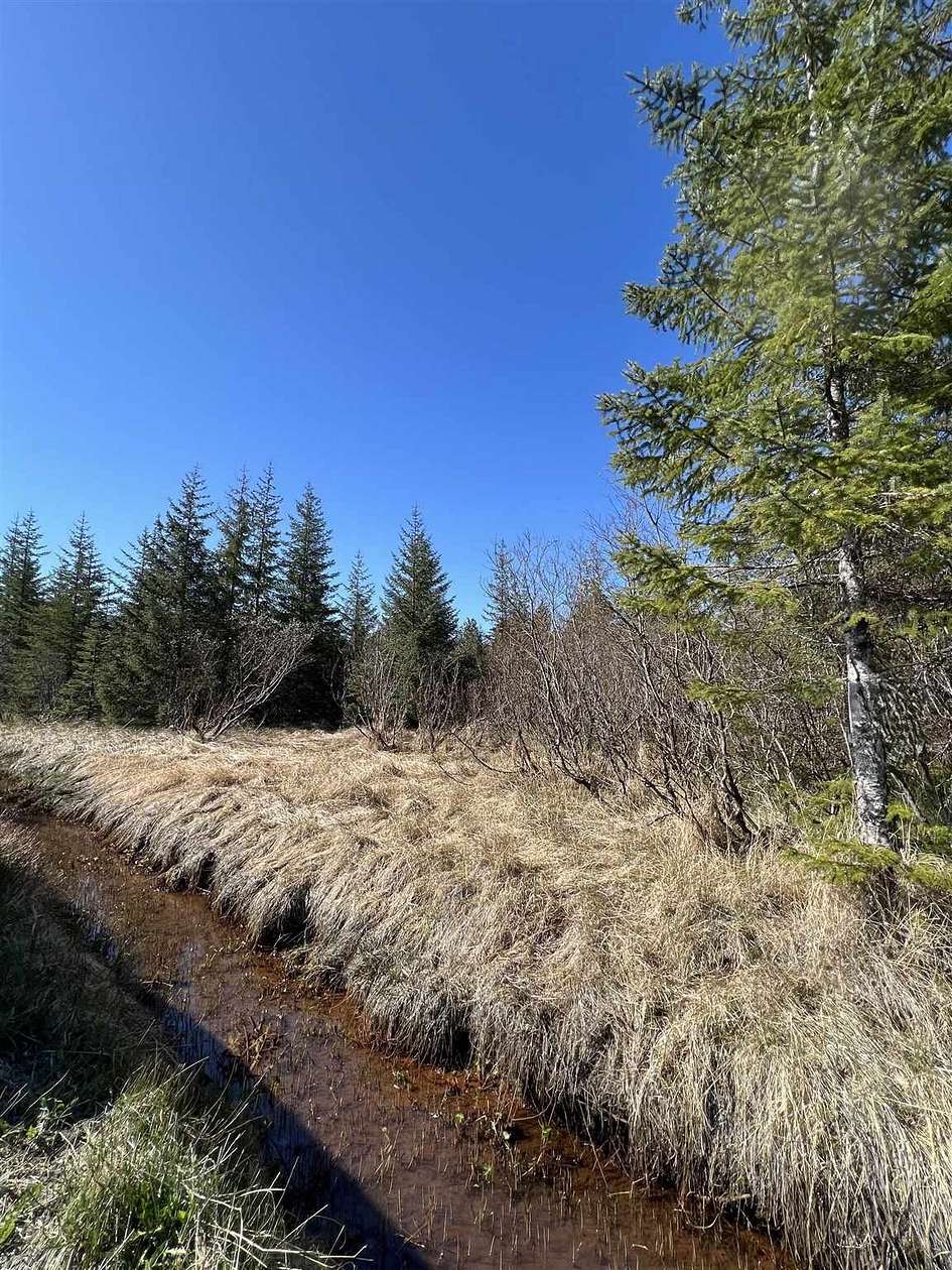 4 Acres of Residential Land for Sale in Gustavus, Alaska
