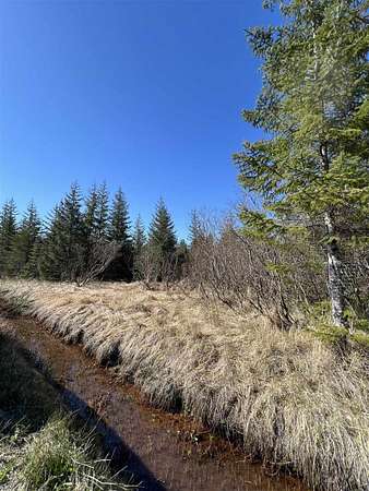 4 Acres of Residential Land for Sale in Gustavus, Alaska