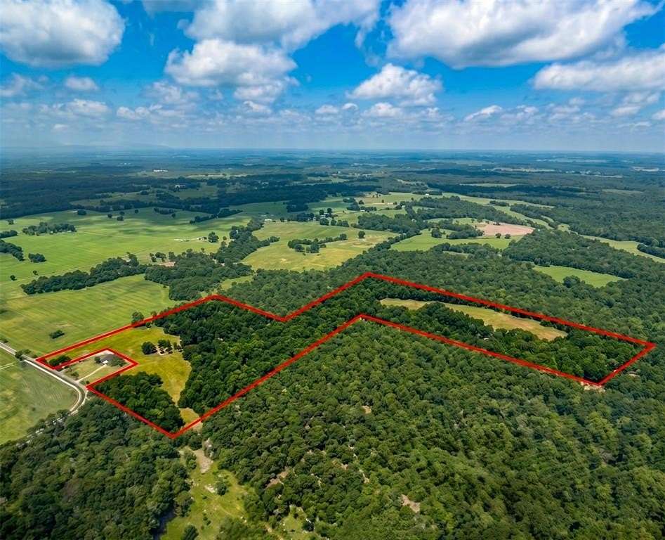 45.2 Acres of Land for Sale in Sumner, Texas