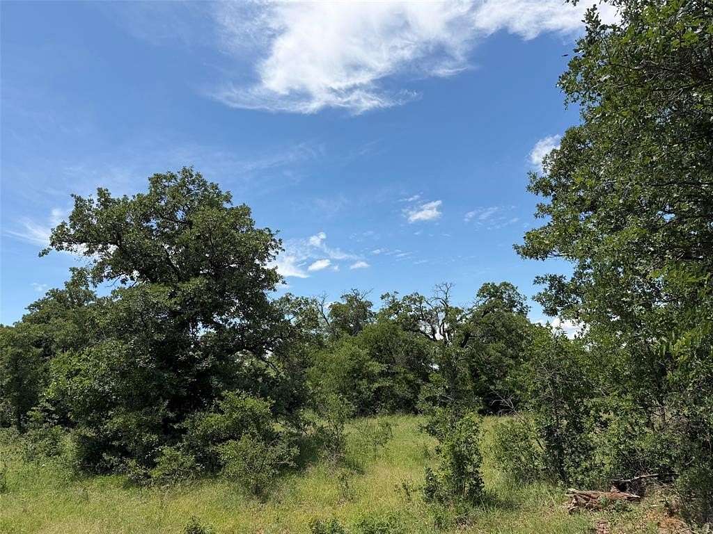 79.8 Acres of Recreational Land for Sale in Olney, Texas