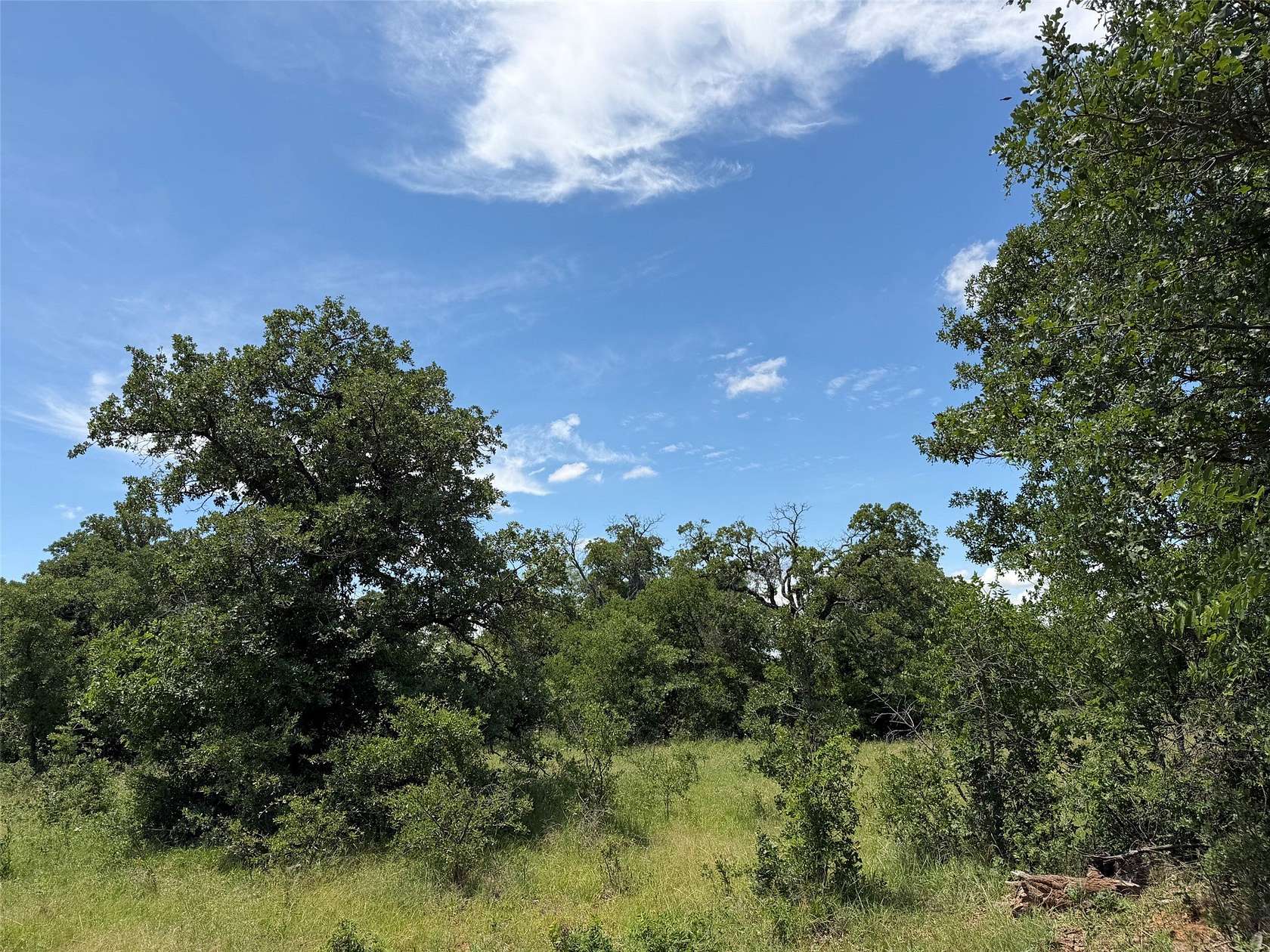 79.8 Acres of Recreational Land for Sale in Newcastle, Texas