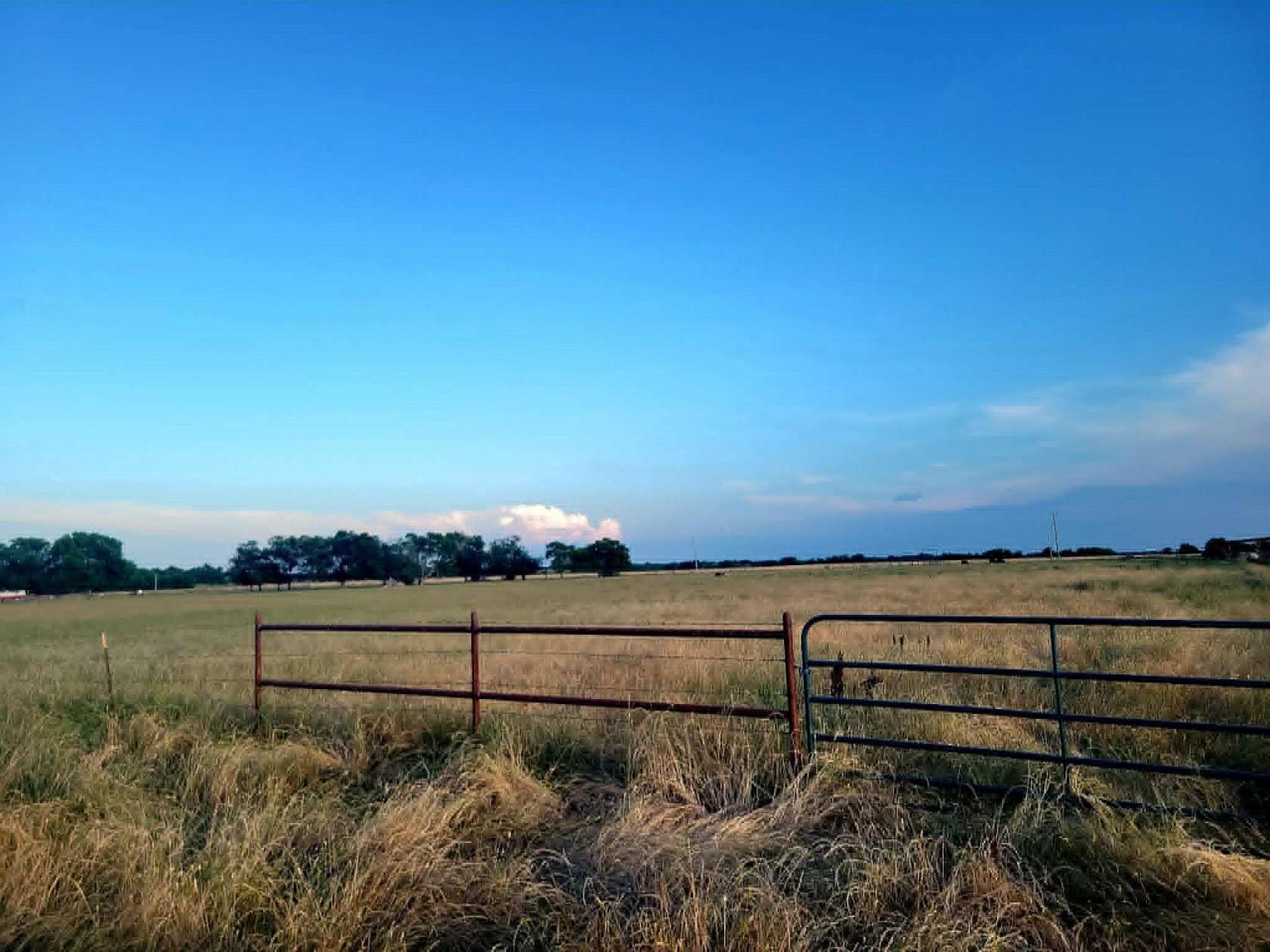 35.8 Acres of Land for Sale in Wolfe City, Texas