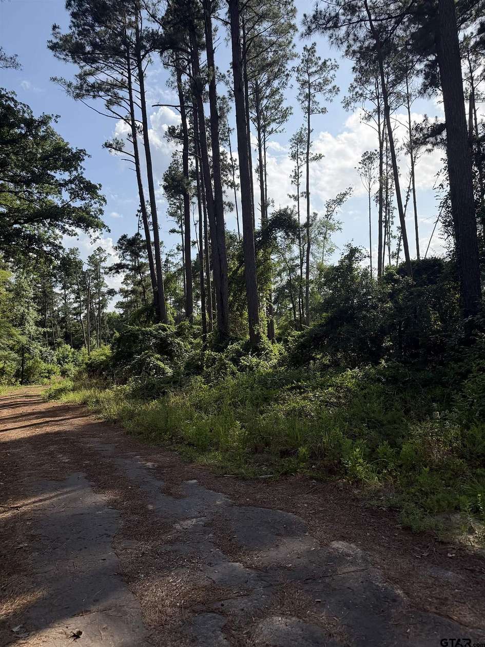 0.27 Acres of Residential Land for Sale in Flint, Texas