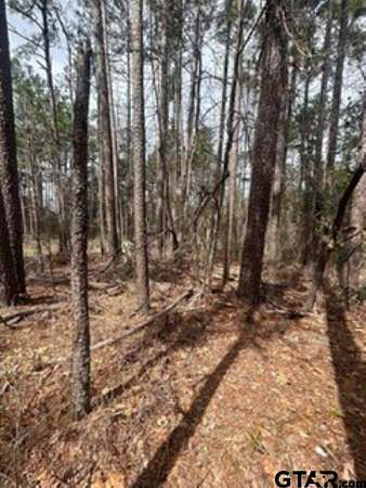 0.27 Acres of Residential Land for Sale in Flint, Texas