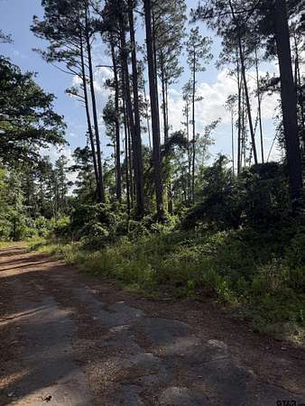 0.27 Acres of Residential Land for Sale in Flint, Texas