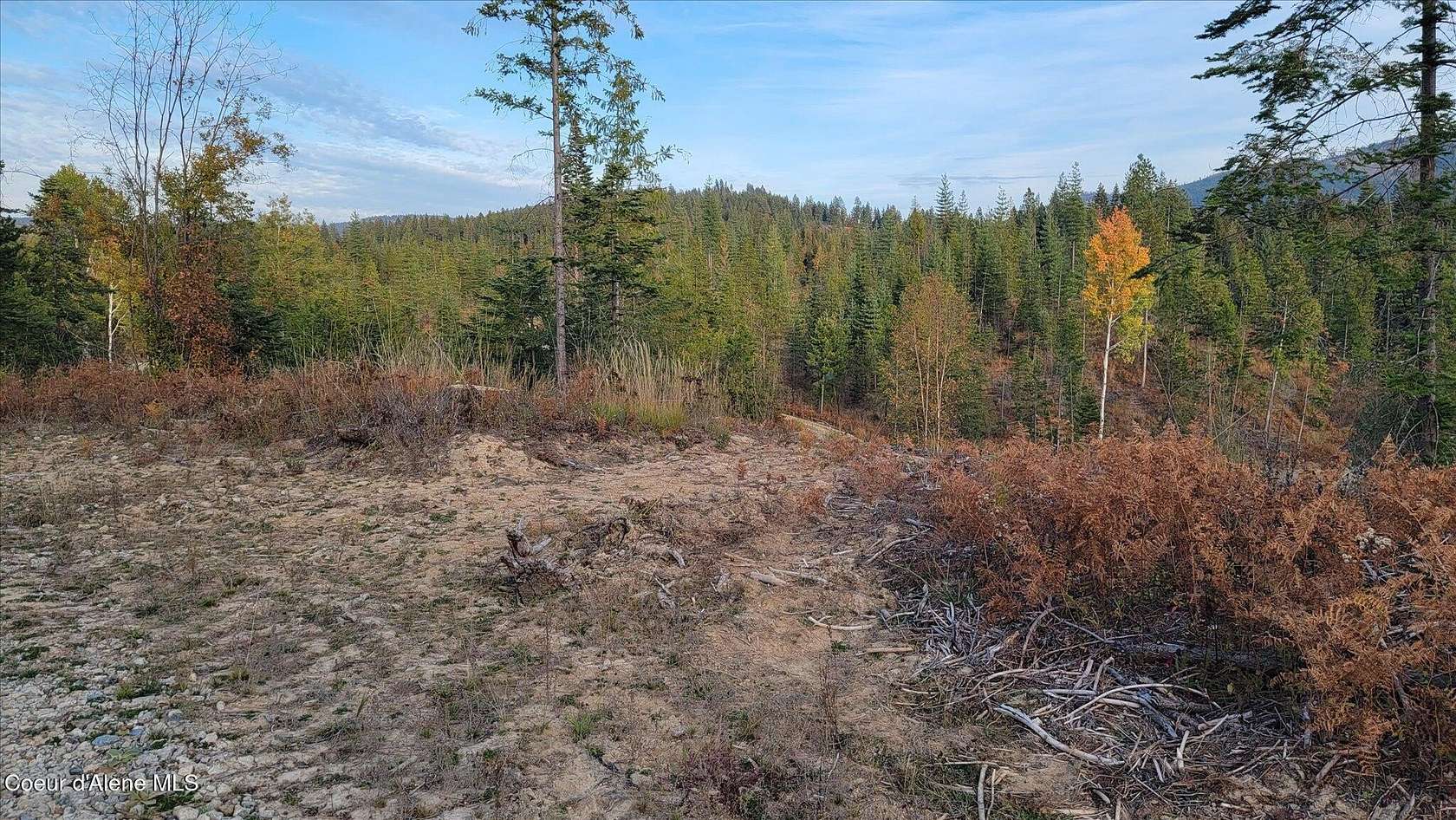 5 Acres of Residential Land for Sale in Priest River, Idaho