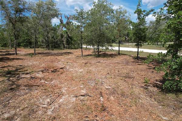 5.25 Acres of Land for Sale in Morriston, Florida
