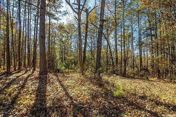 46 Acres of Recreational Land for Sale in Alexander, Arkansas