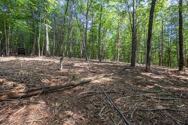 20 Acres of Recreational & Residential Land for Sale in Murphy, North Carolina