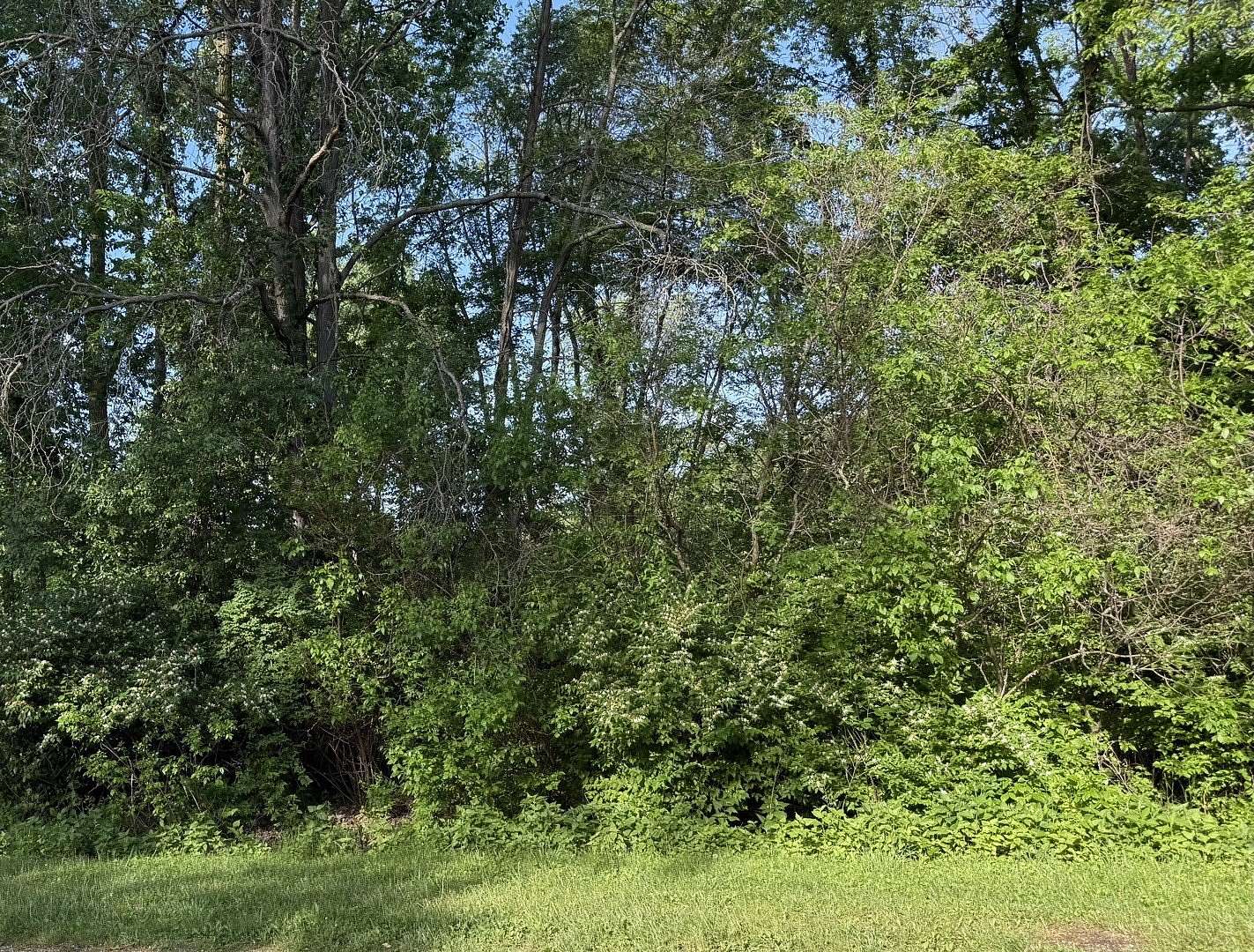 Residential Land for Sale in Dixon, Illinois