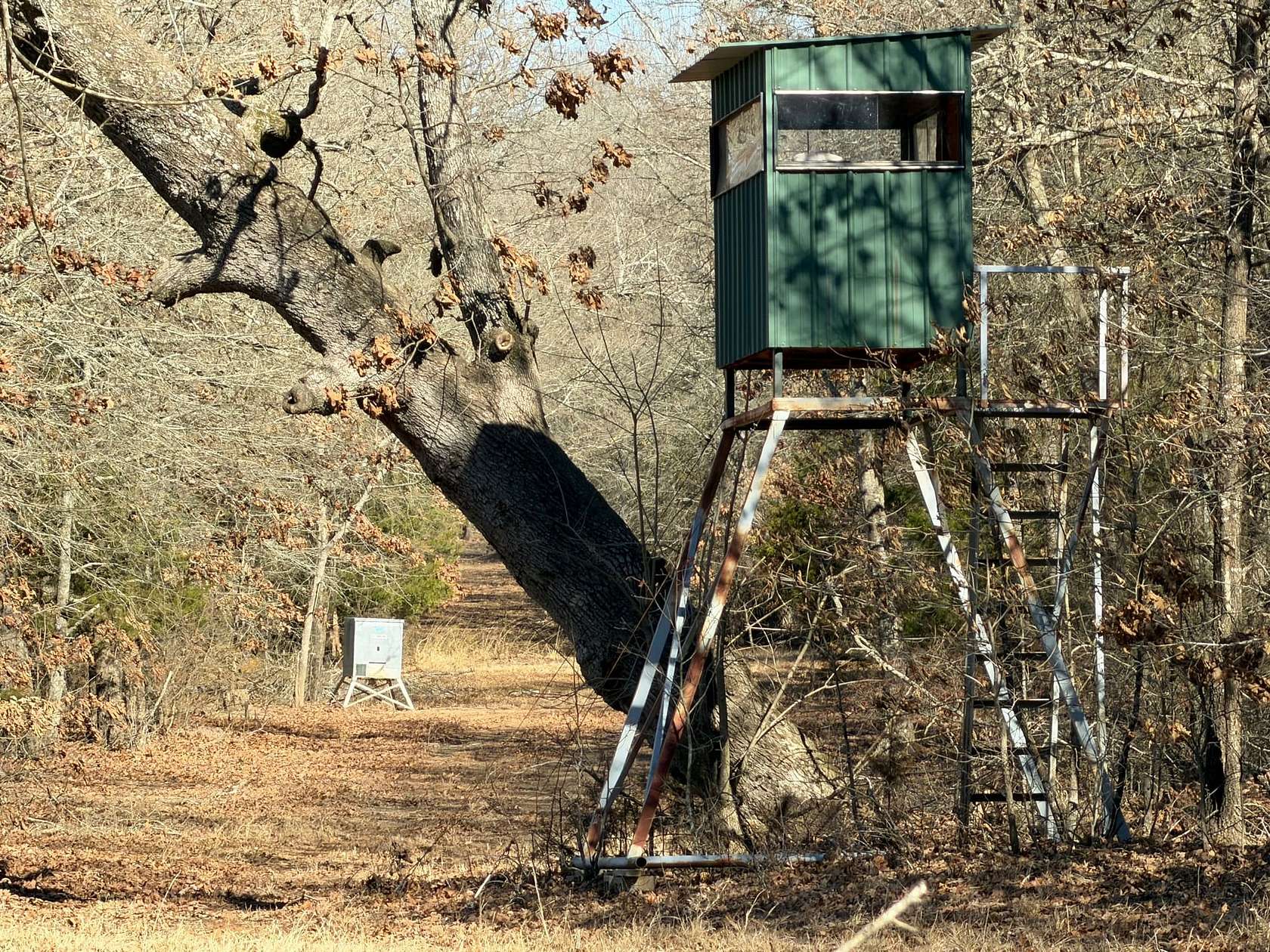 227 Acres of Improved Recreational Land for Sale in Blossom, Texas