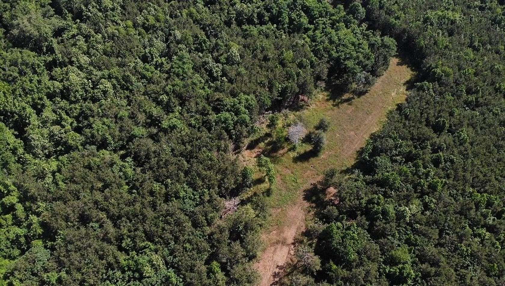 50 Acres of Recreational Land for Sale in Natchez, Mississippi