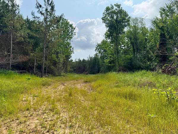50 Acres of Recreational Land for Sale in Natchez, Mississippi