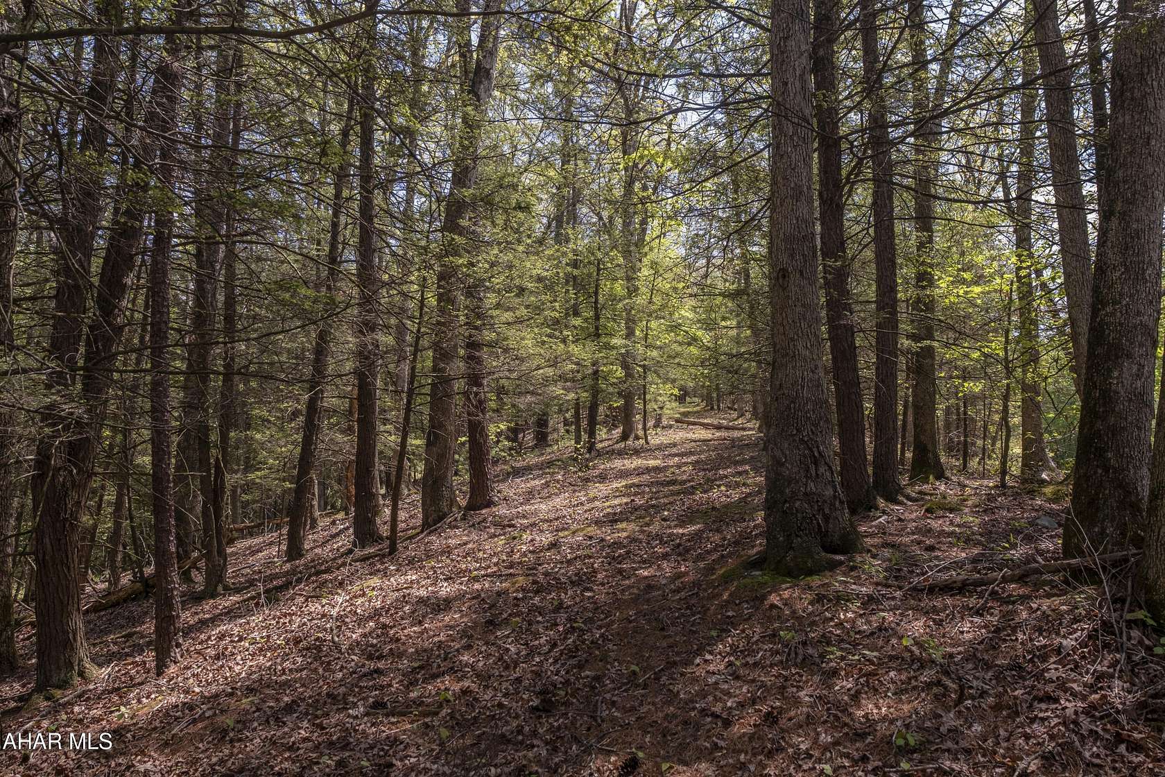 9.87 Acres of Land for Sale in Huntingdon, Pennsylvania