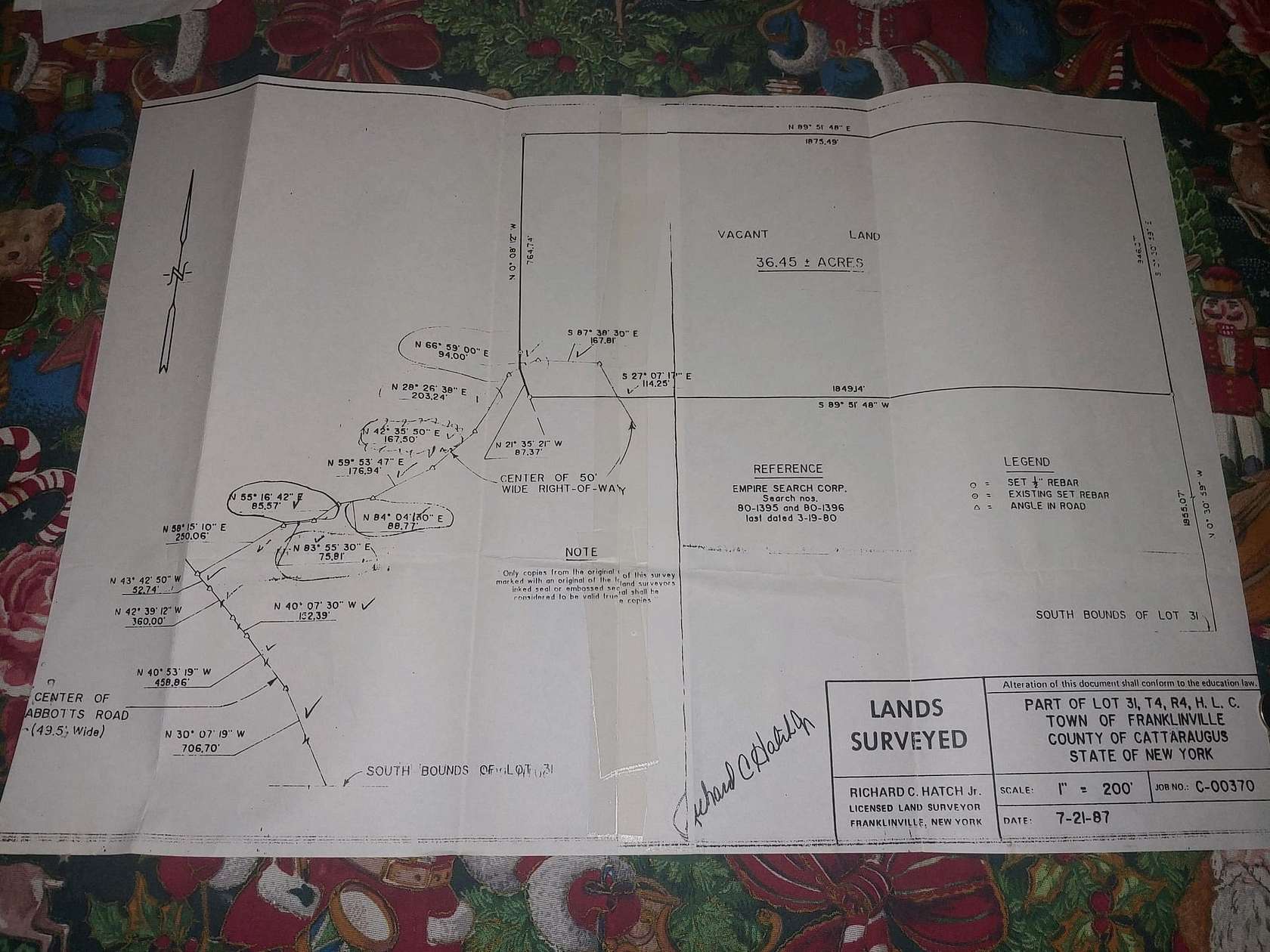 36.5 Acres of Recreational Land for Sale in Franklinville, New York
