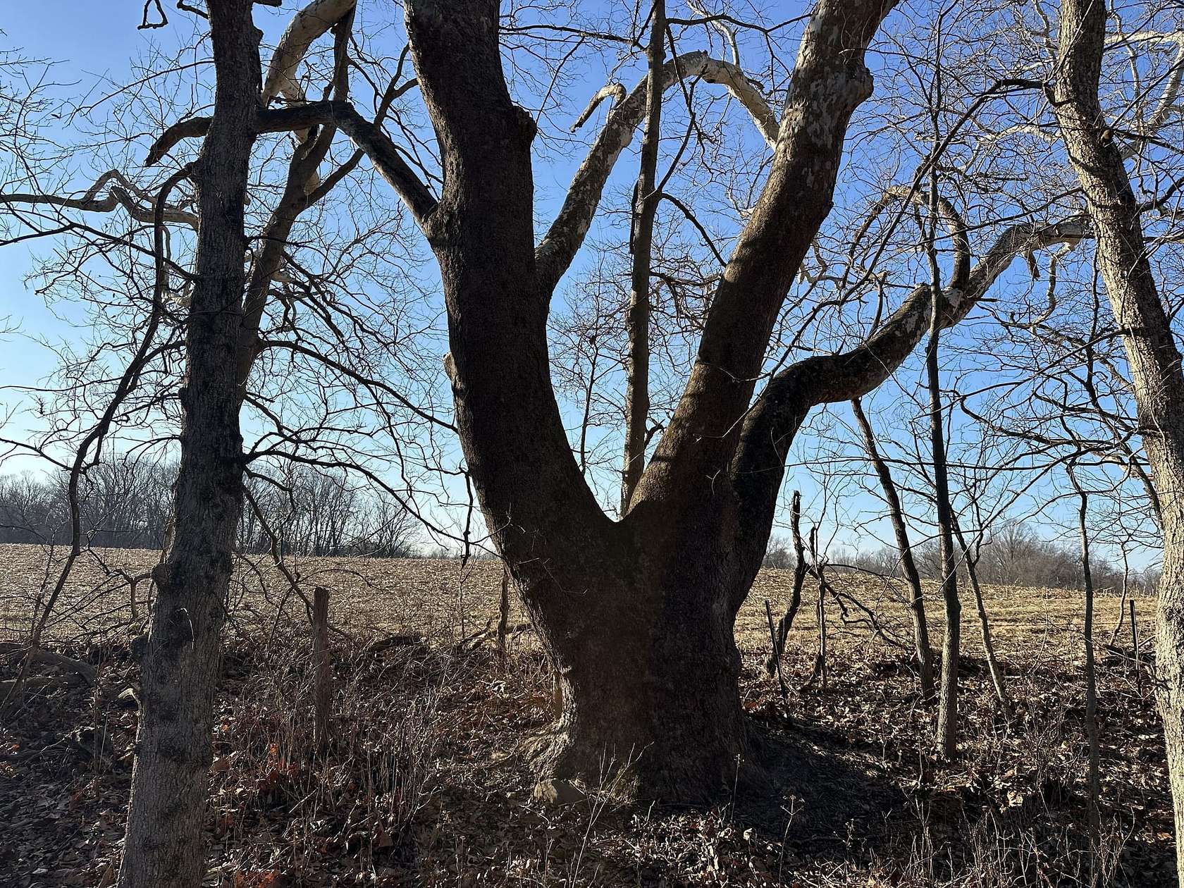 25 Acres of Recreational & Residential Land for Sale in Perrysville, Indiana