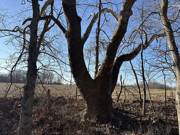 25 Acres of Recreational & Residential Land for Sale in Perrysville, Indiana