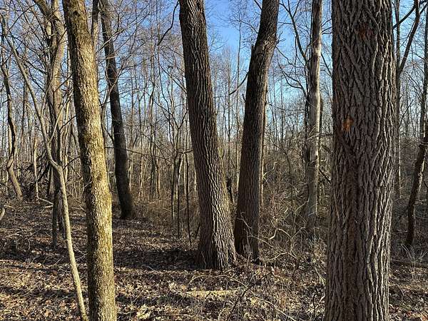 25 Acres of Recreational & Residential Land for Sale in Perrysville, Indiana