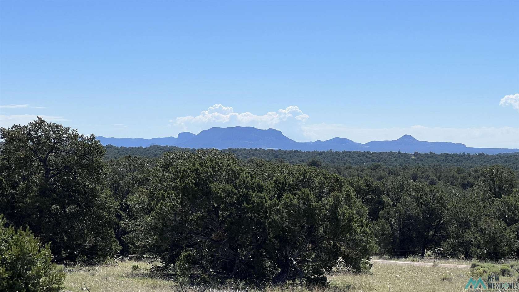 11 Acres of Recreational Land for Sale in Pie Town, New Mexico