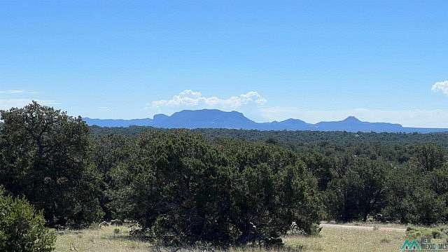 11 Acres of Recreational Land for Sale in Pie Town, New Mexico
