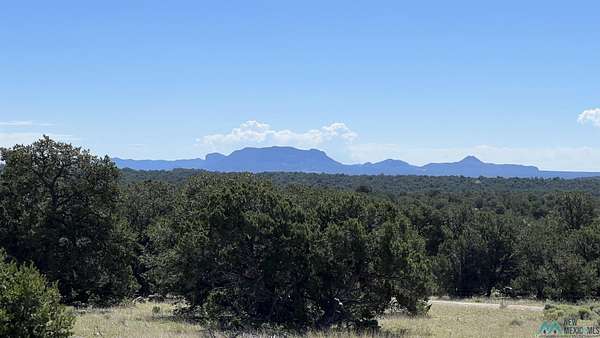 11 Acres of Recreational Land for Sale in Pie Town, New Mexico