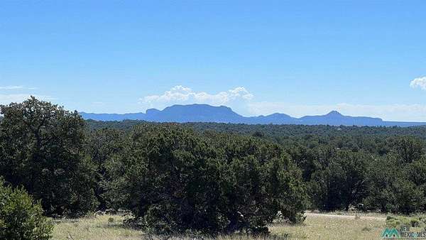 11 Acres of Recreational Land for Sale in Pie Town, New Mexico